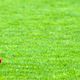 iStock